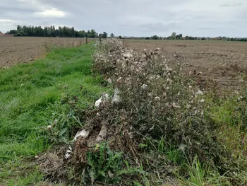 Galgebossen (Poperinge, Elverdinge, Vlamertinge) (Belgie)